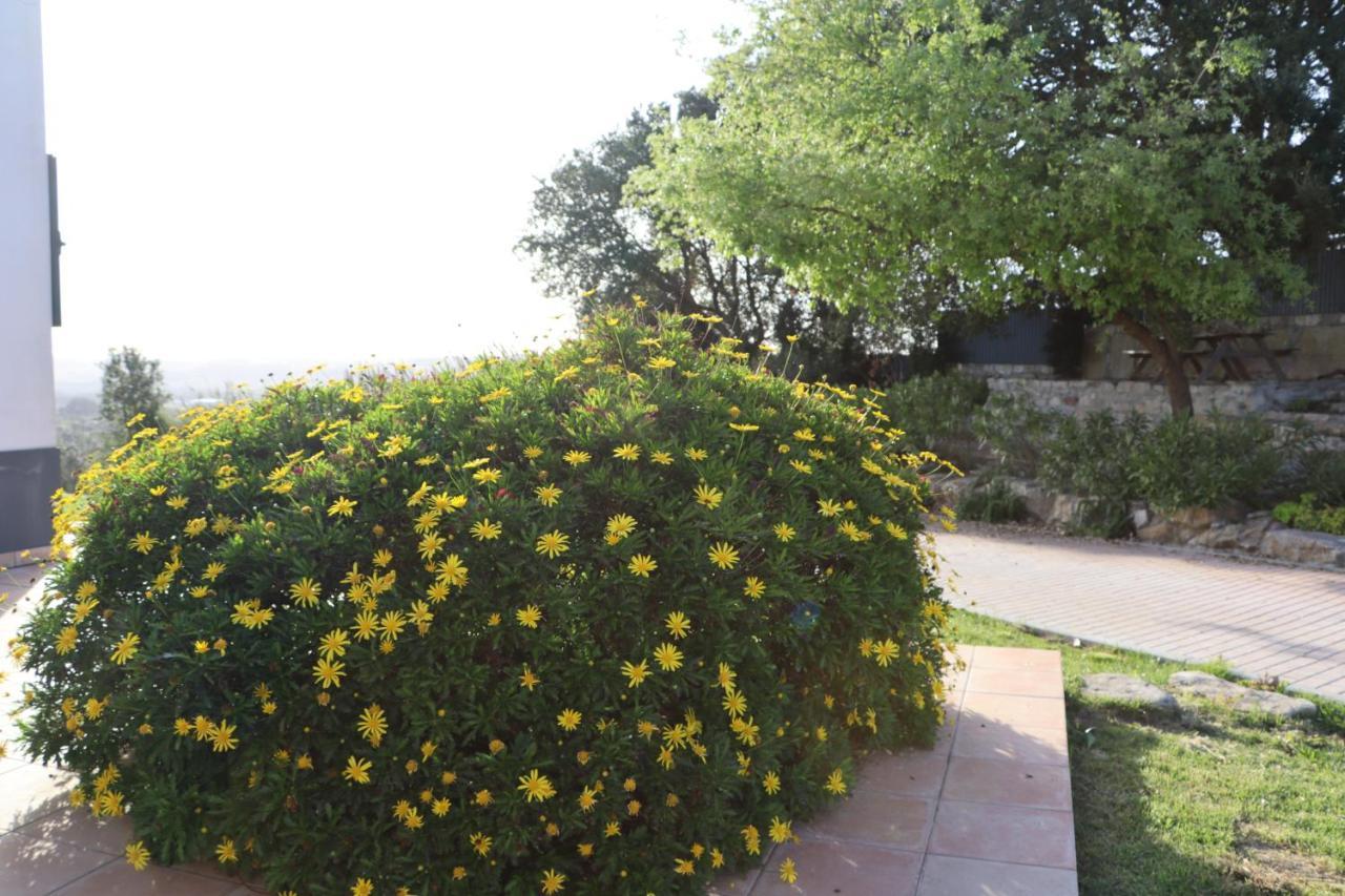 דירות בומברל Casa Do Horizonte מראה חיצוני תמונה